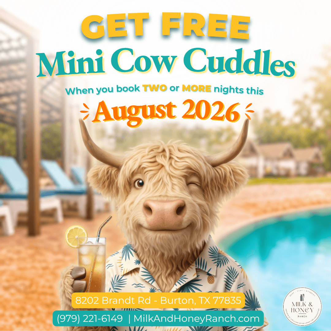 Free Mini Cow Cuddles when you book two or more nights in August 2026 at Milk & Honey Ranch