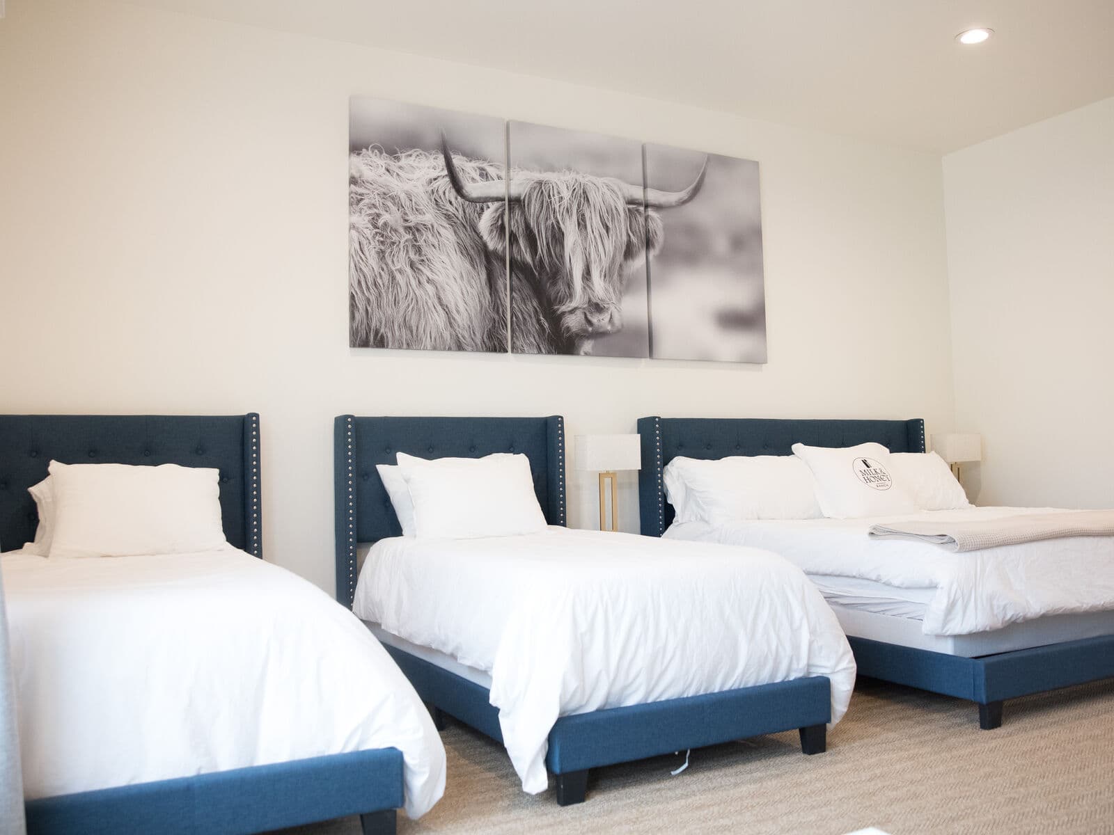 Eighteen ways to sleep under Texas stars