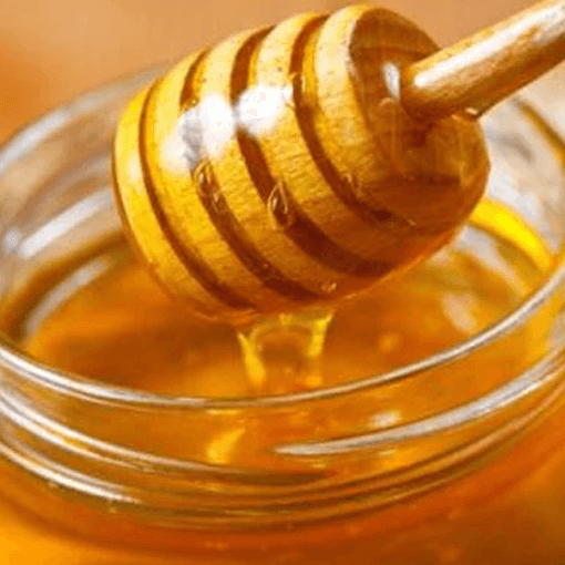 Organic Honey – Large