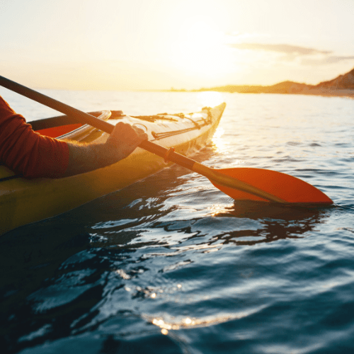 Kayak
