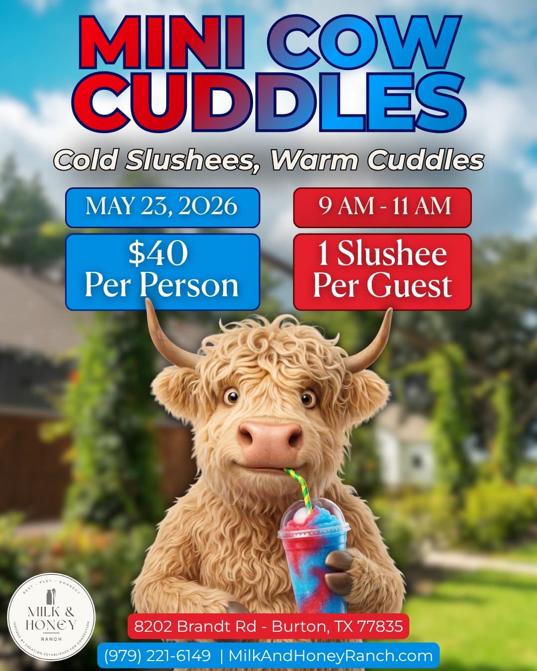 Mini Cow Cuddles: Cold Slushees, Warm Cuddles