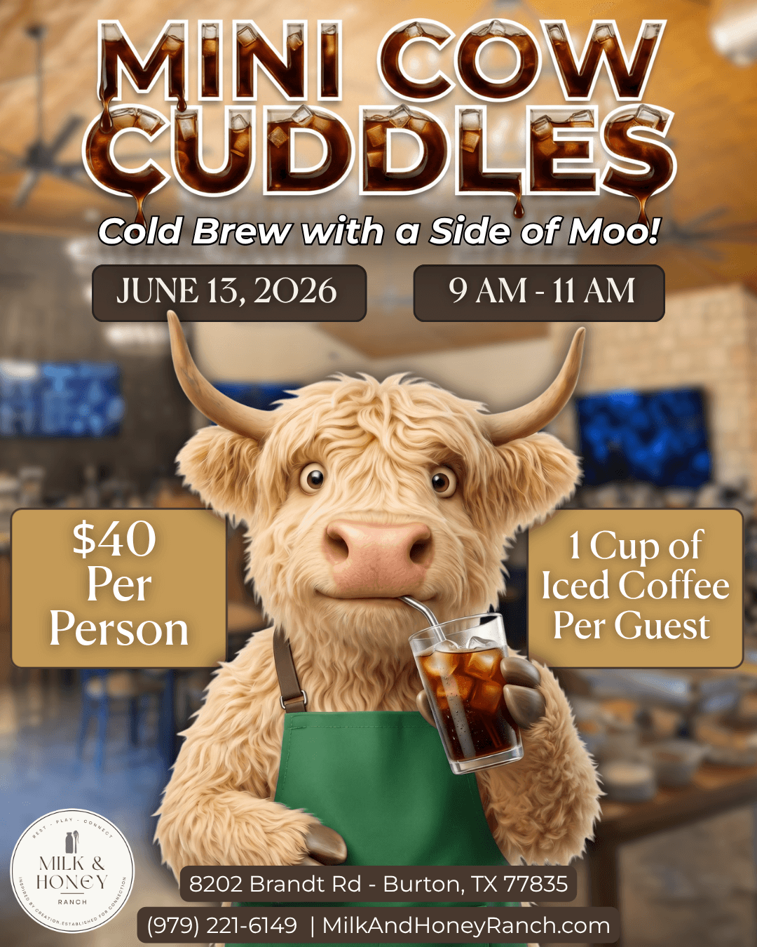 Mini Cow Cuddles: Cold Brew with a Side of Moo!