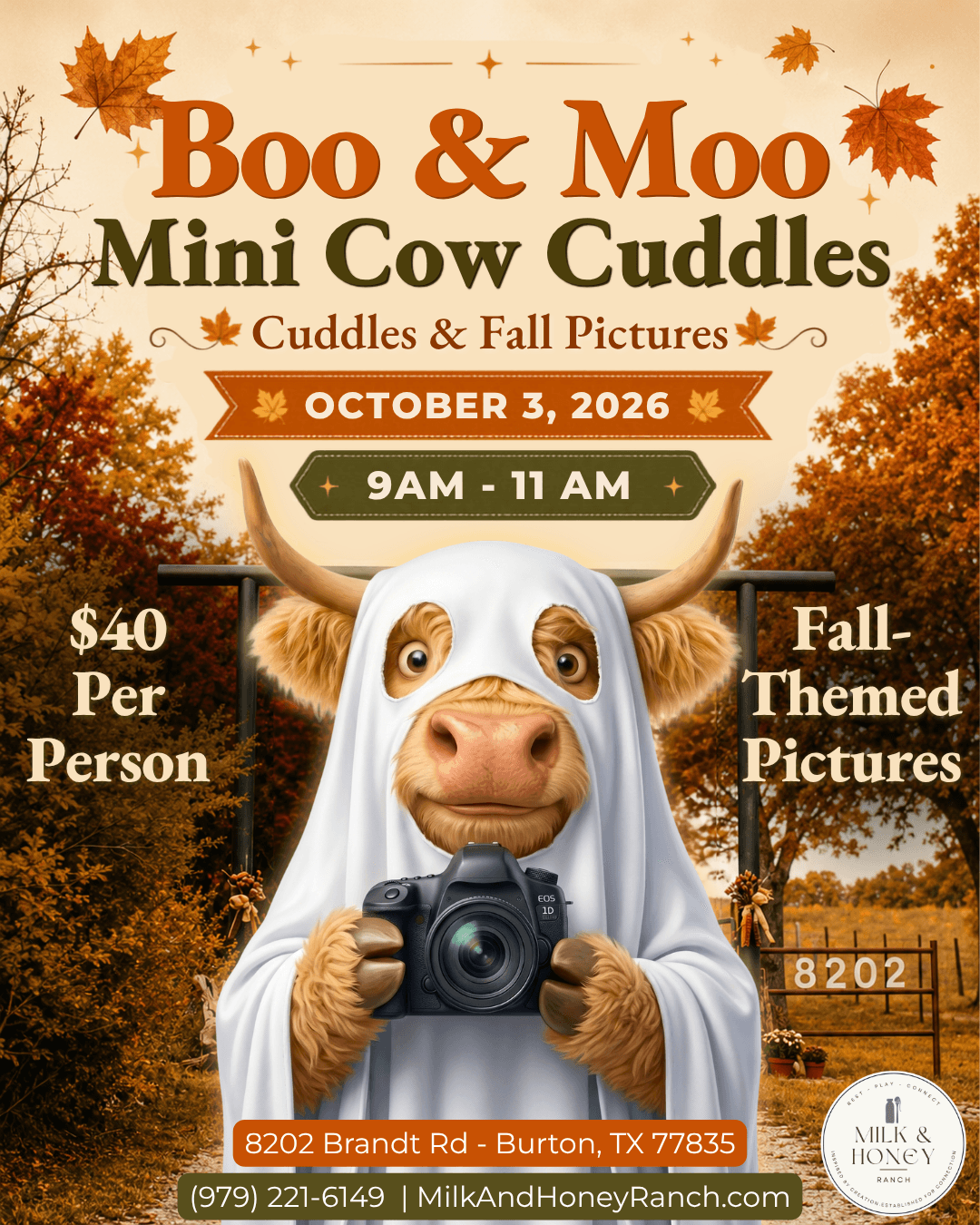Mini Cow Cuddles: Boo & Moo!