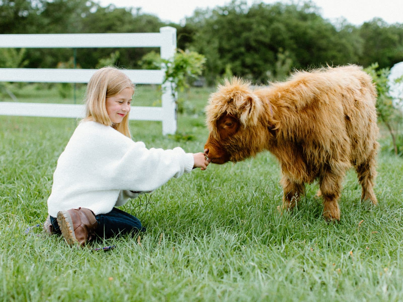 Petting Zoo