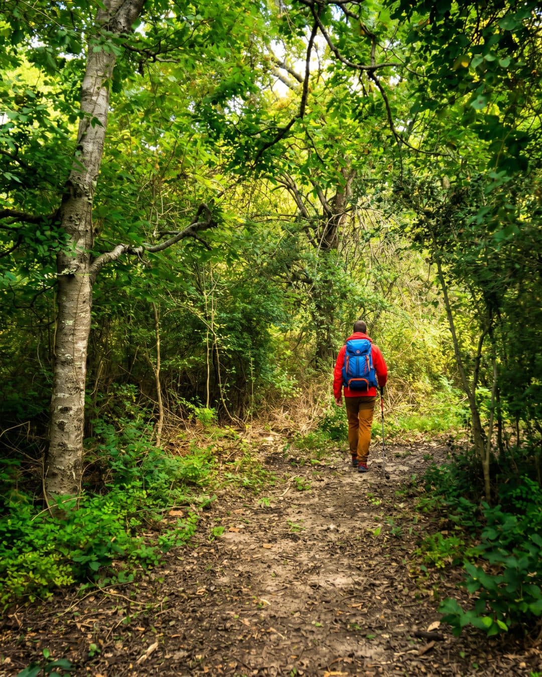Nature Trails