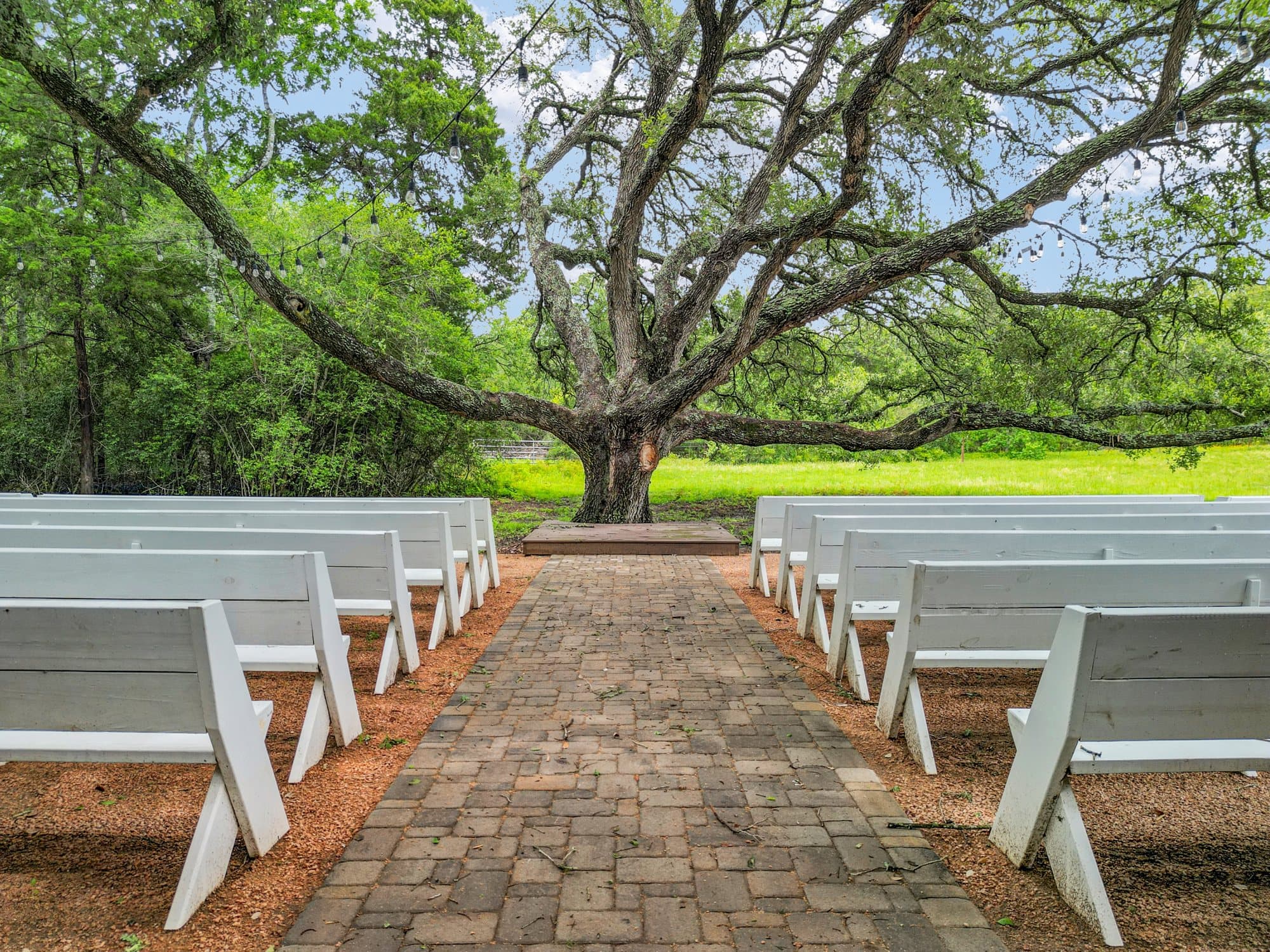 Weddings